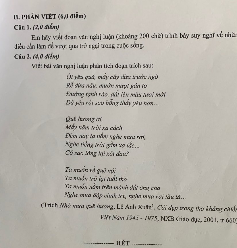 Ảnh test